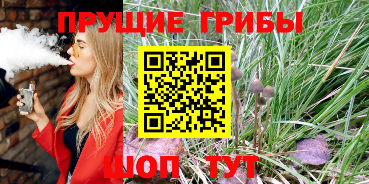 Тобольск  Псилоцибиновые грибы Cubensis  Вход с VPN 