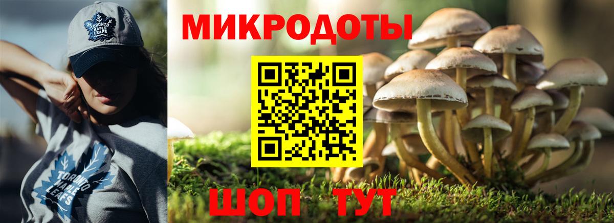 Галлюциногенные грибы Psilocybine cubensis Тобольск